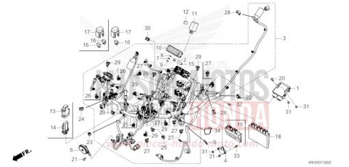 WIRE HARNESS NC750XAS de 2025